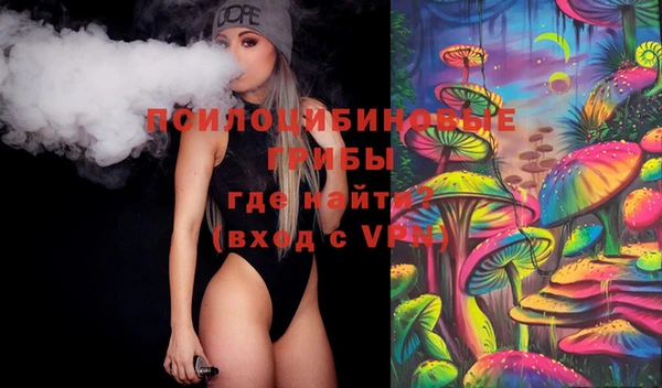 apvp Алзамай
