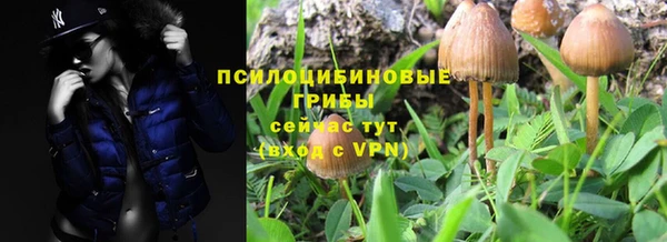 apvp Алзамай