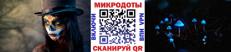 купить закладку  Наволоки  Галлюциногенные грибы мицелий 